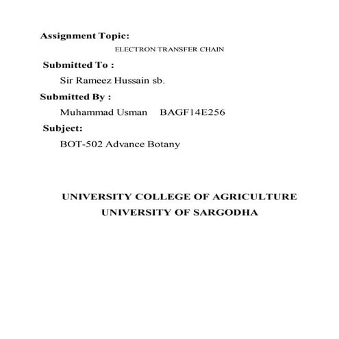 Electron transfer chain