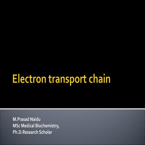 Electron transport chain