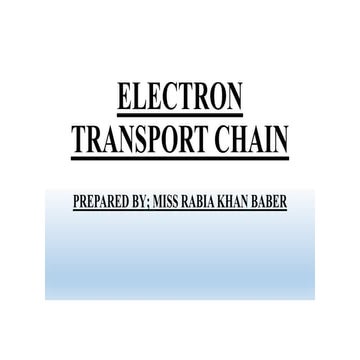 ELECTRON TRANSPORT CHAIN