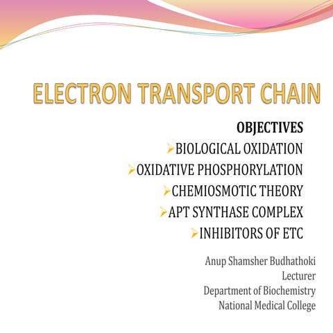 Electron transport chain( Oxidative phosphorylation)