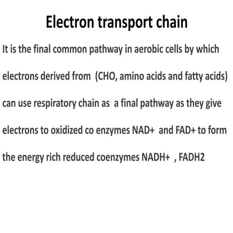Electron Transport Chain.ppt
