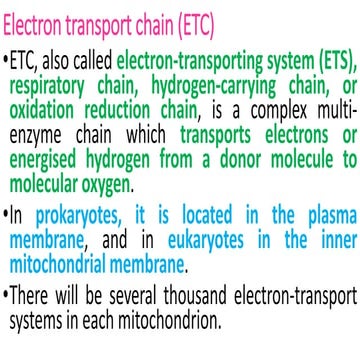 electron transport chain.pptx
