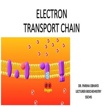 ELECTRON TRANSPORT CHAIN biochemistry med