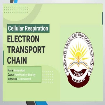 Electron Transport Chain - By Muntaha-Iqbal.pptx