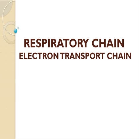 Electron transport chain------------ (1).pptx