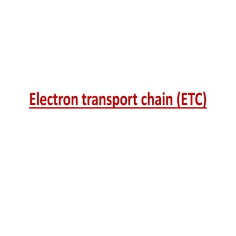 Electron transport chain (etc)