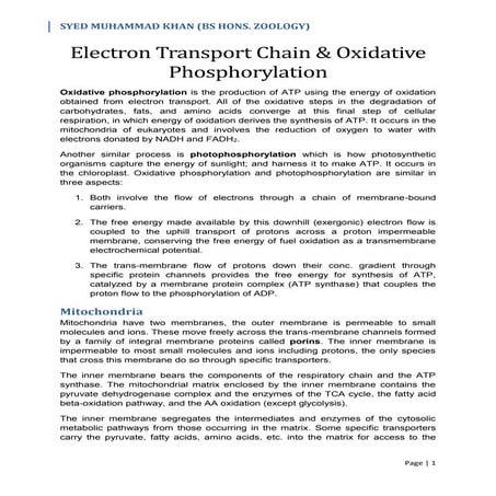 Electron Transport Chain & Oxidative Phosphorylation