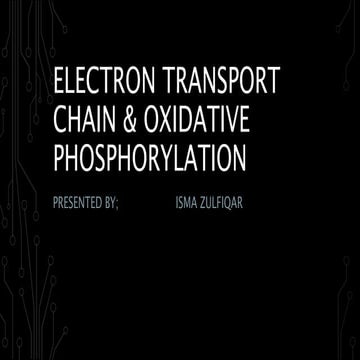 Electron transport chain & oxidative phosphorylation