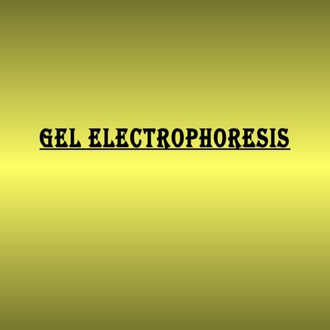 Electrophoresis