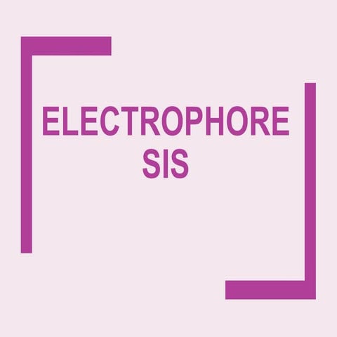 Electrophoresis