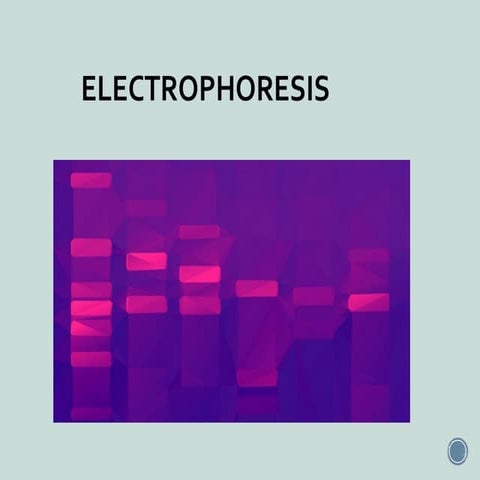 Electrophoresis, the types of electrophoresis and samples used