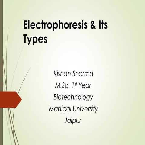 Electrophoresis