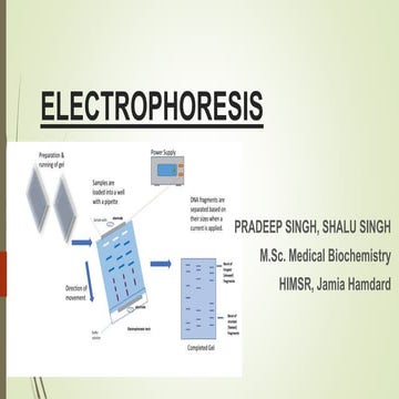 Electrophoresis