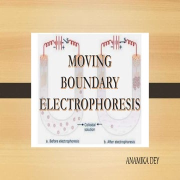 Moving Boundary Electrophoresis by Anamika Dey