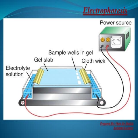 Electrophoresis