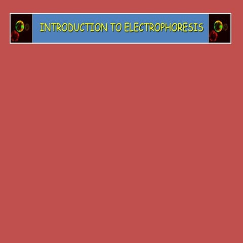 electrophoresis.ppt