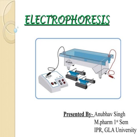 Electrophoresis  by Anubhav Singh, M.pharm