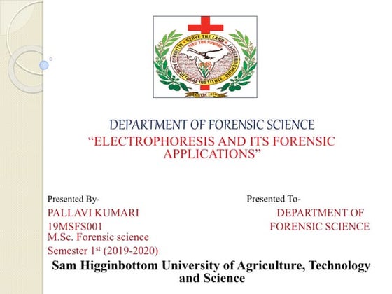 Dna and Gel Electrophoresis | PPT