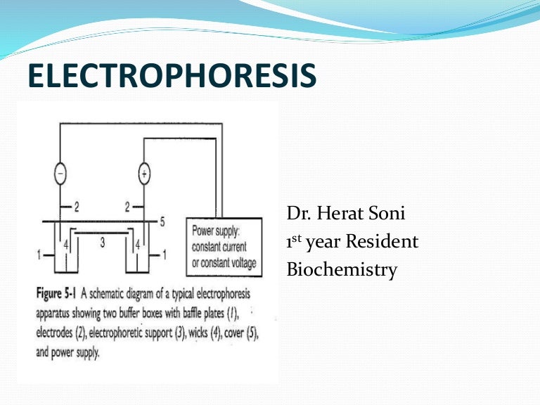 Electrophoresis