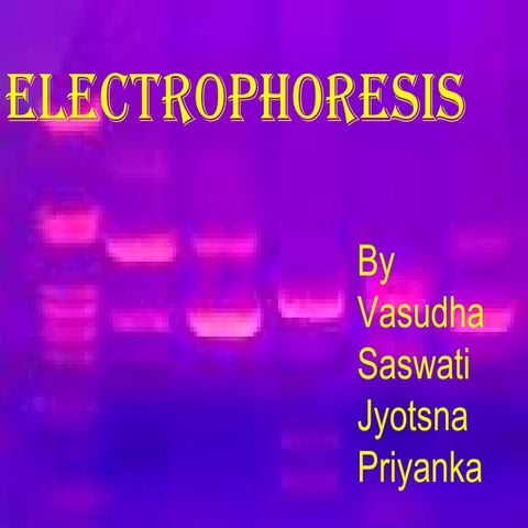 Electrophoresis presentation
