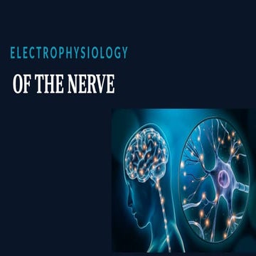 Electrophysiology of Nerve Ortho PG copy.pptx