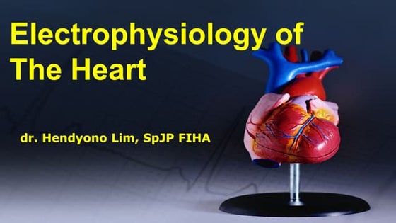 Electrical Activity of Heart presentation .pptx