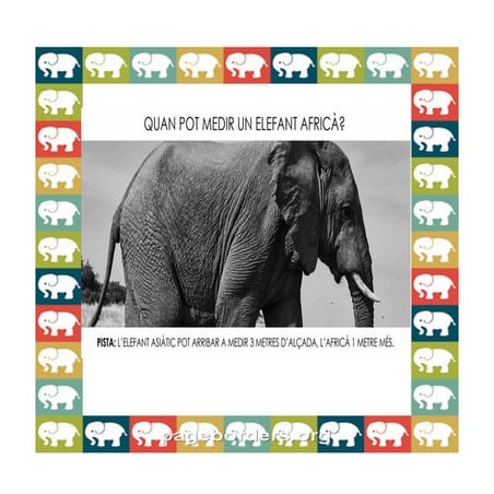 Elefant
