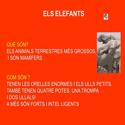Elefants
