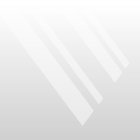 Elegant template | PPT