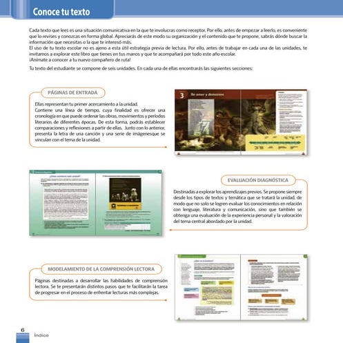 Elegibilidad lenguaje iii° medio 2011