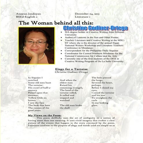 Elegy for a tortoise