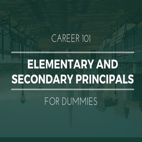 Elementary School Principals for Dummies | What You Need To Know In 15 Slides