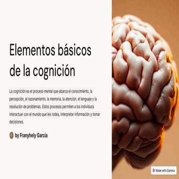 Elementos-basicos-de-la-cognicion import