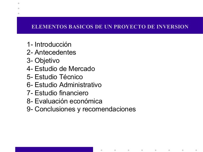 Elementos basicos de un proyecto de inversion