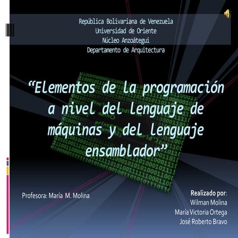 Elementos de la programación a nivel del lenguaje