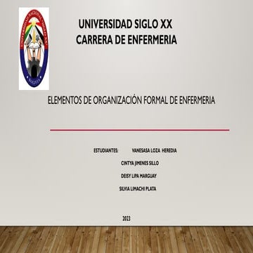 ELEMENTOS DE ORGANIZACIÓN FORMAL DE ENFERMERIA.pptx