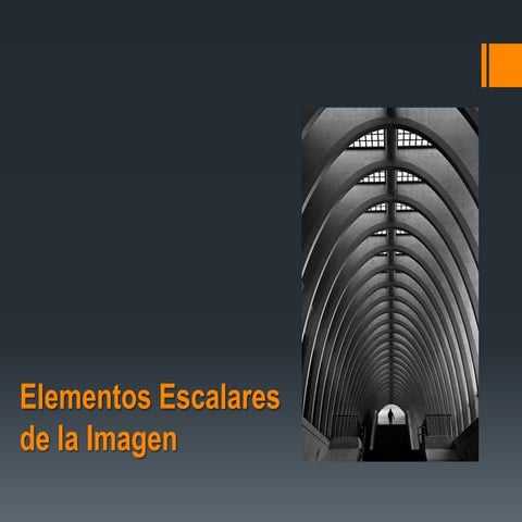Elementos escalares
