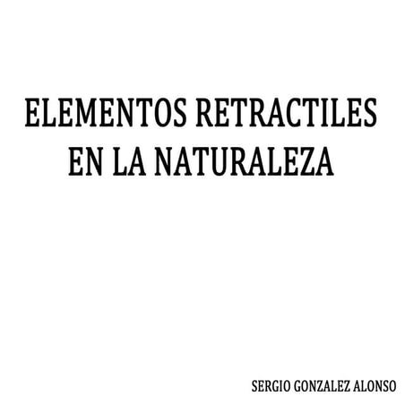 Elementos retractiles neumatico_clavos_sergioglezalonso