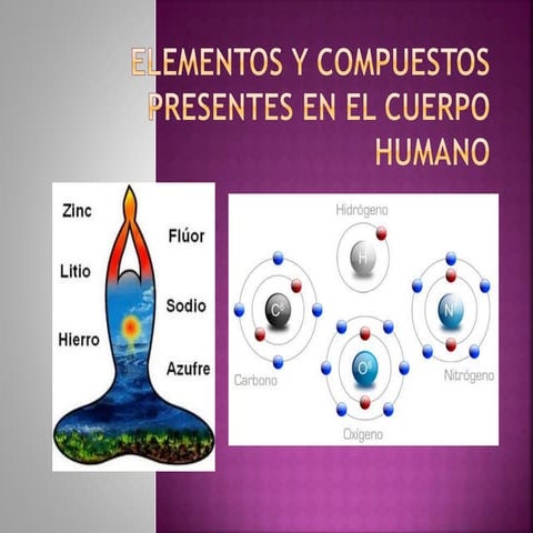 Elementos Qumicos Que Constituyen El Cuerpo Humano Infografas Son
