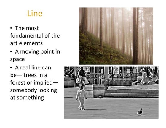 Elements And Principles Of Design In Photography 1280x854
