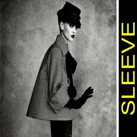 Elements of fashion sleeves