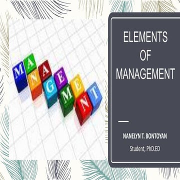 Elements of management