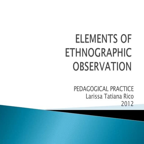 Elements of the ethnographic observation