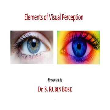 Elements of Visual Perception.pptx