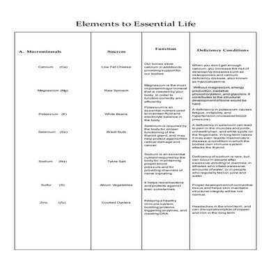 Elements to essential life | PDF