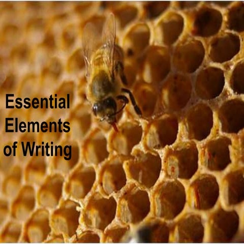 Elements of Writing