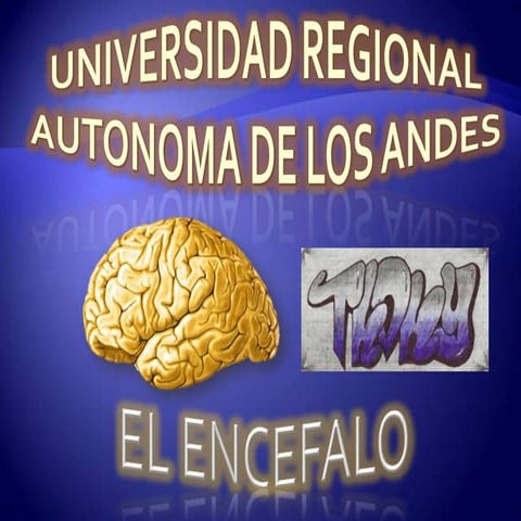 EL ENCEFALO