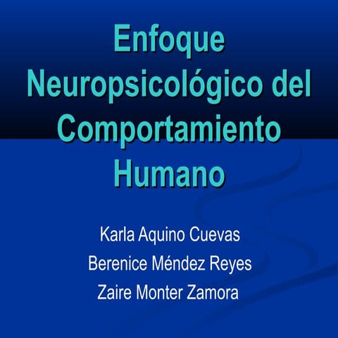 El enfoque neuropsicológico