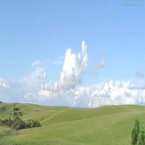 Ele é o leão da tribo de judá.  ok