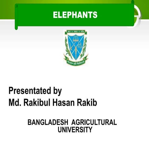 presentation on Elephant